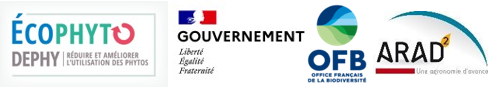 Logos REXChedru.png