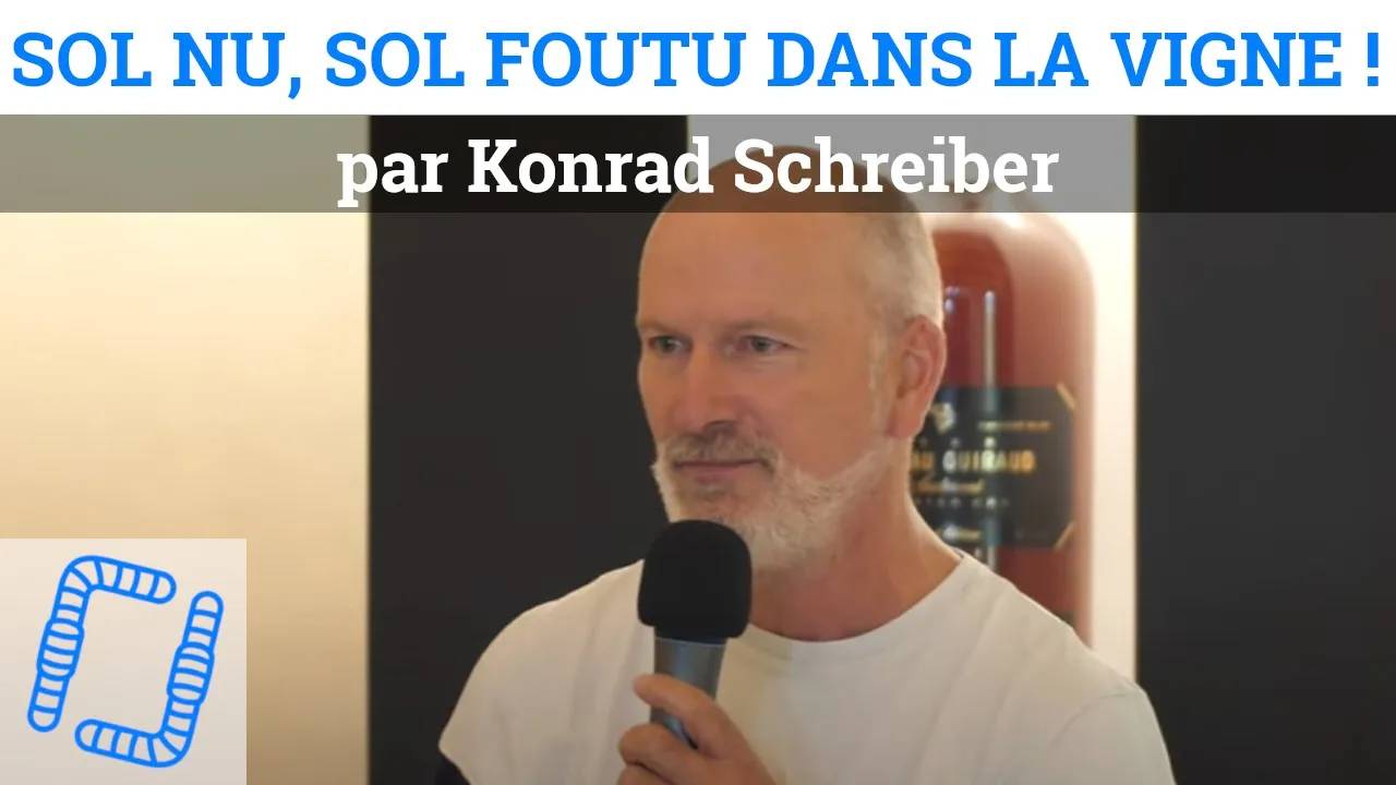 Thumbnail youtube 8IvlcrmA4LA.jpg