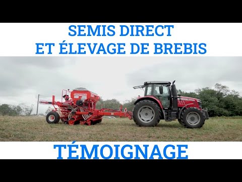 Thumbnail youtube P7VmlFP2caM.jpg