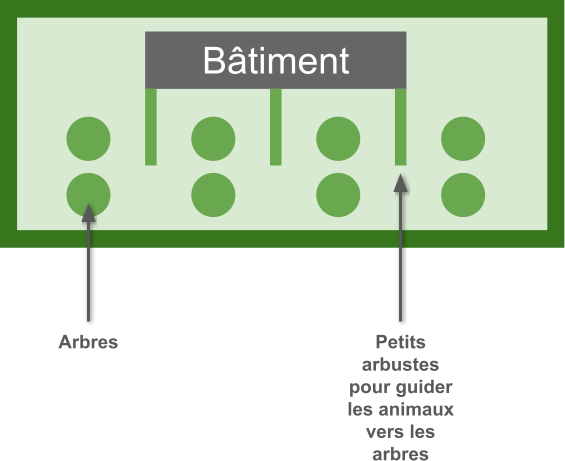 Vincent Blagny - 5. Schéma du parcours diversifié.png