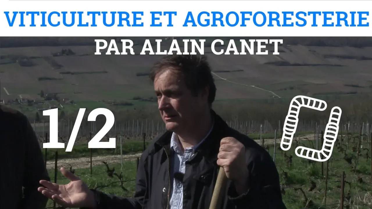 Thumbnail youtube VhQyRmRVoz8.jpg
