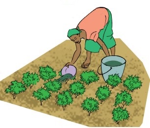 EngraisOrga Utiliastion.jpg