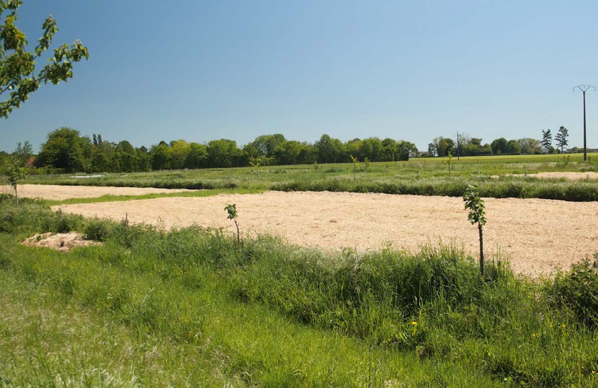 Jardin des Peltiers - bannière.jpg