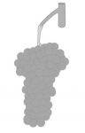 Grappe par defaut.jpg