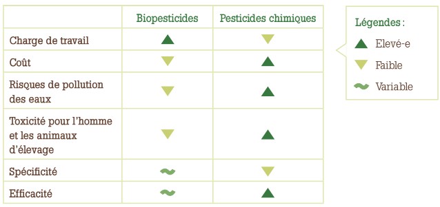 Neem Comparatif.jpg