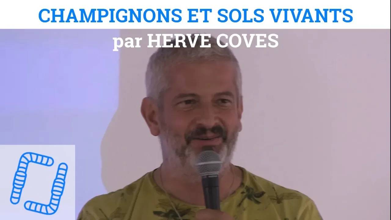 Thumbnail youtube -8GeCIQIJE4.jpg