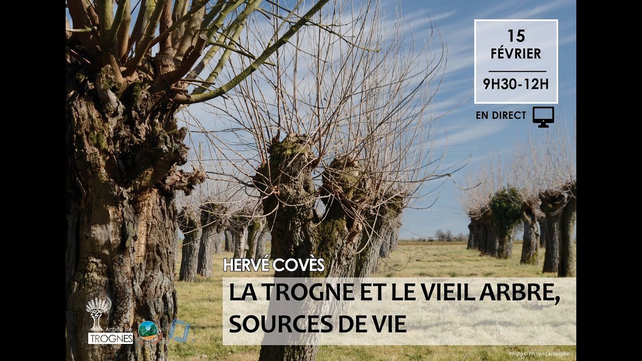 Thumbnail youtube 9M5s1phXkz8.jpg