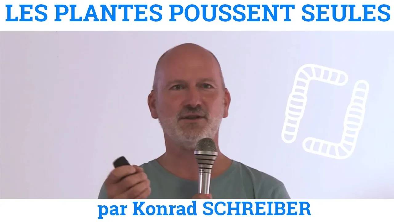 Thumbnail youtube MO2RhBeGcQw.jpg