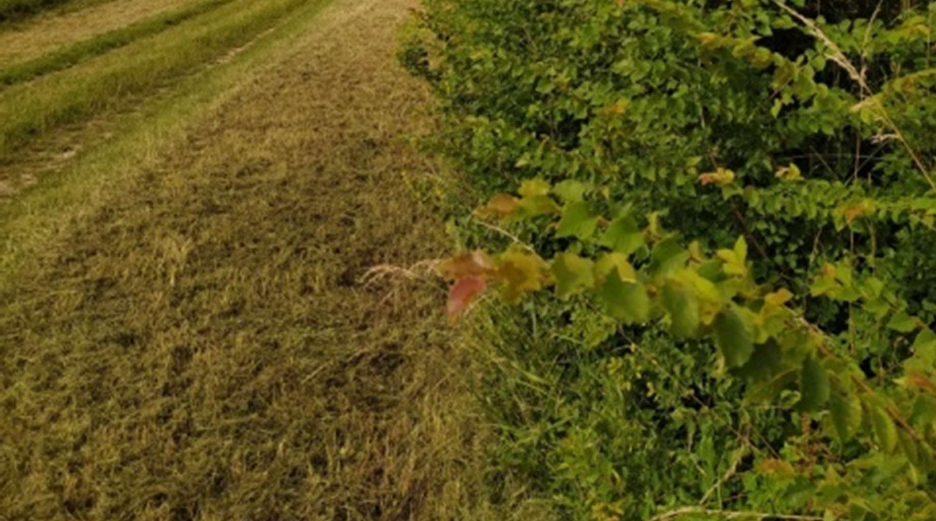 Ma démarche agro-écologique en viticulture et grandes cultures 2.jpg