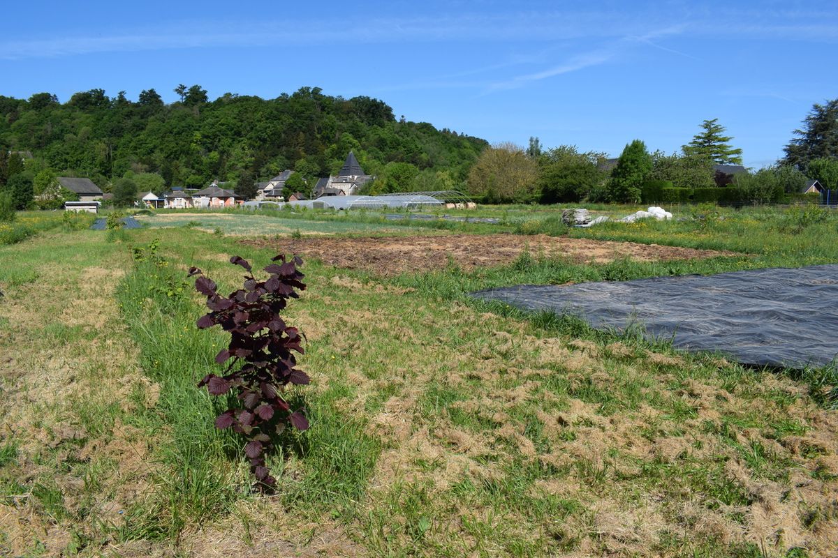 Ferme des Annélides - Vue d'ensemble de la ferme.jpg