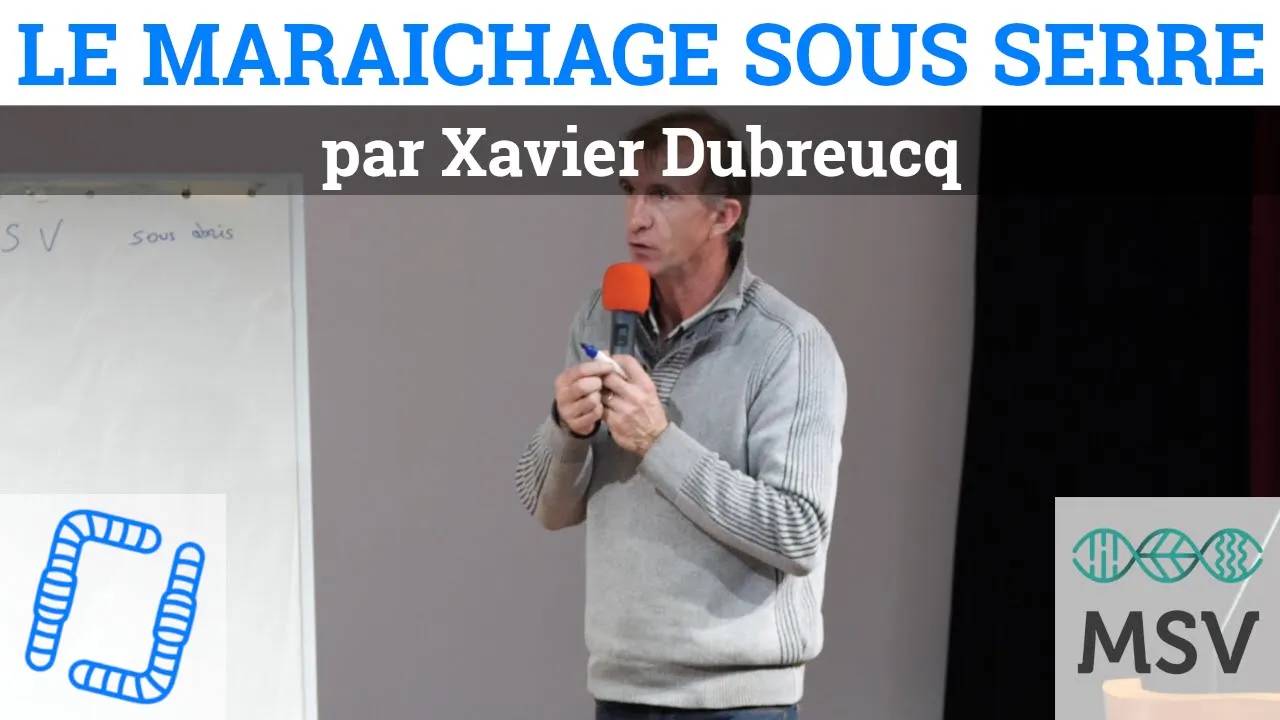 Thumbnail youtube hs8dJSOu yE.jpg
