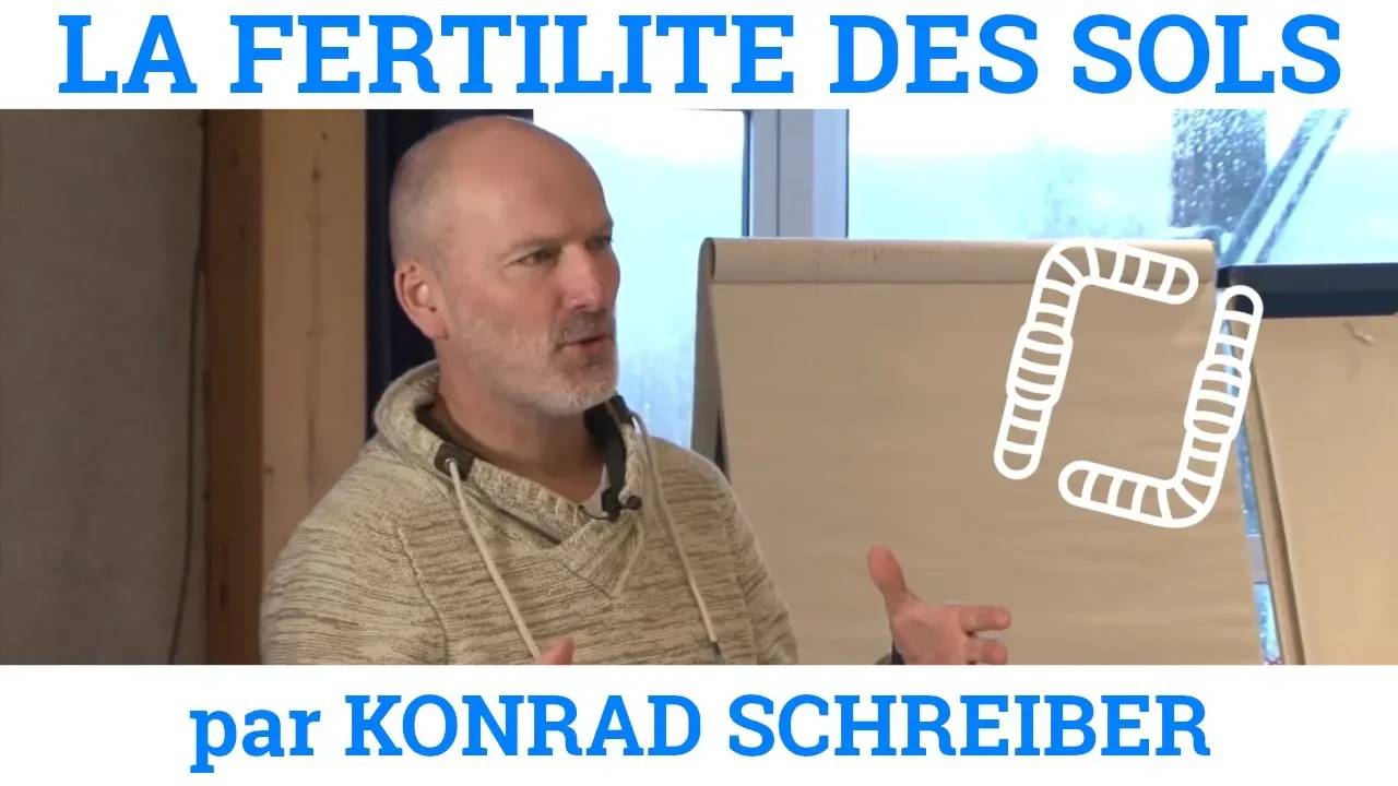 Thumbnail youtube yRlIUuaIjgw.jpg