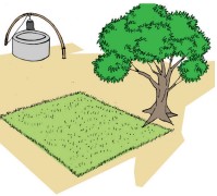 EngraisOrga Emplacement.jpg