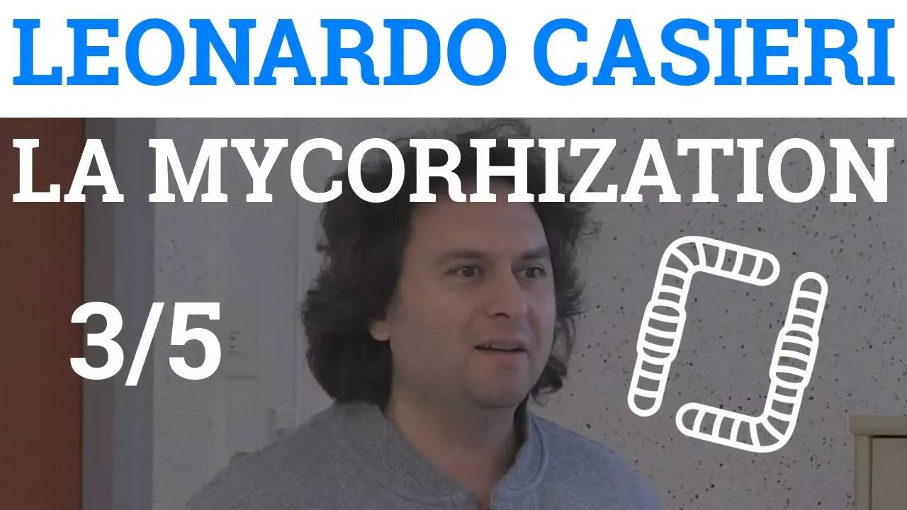 Thumbnail youtube xIO7BF1C4iM.jpg