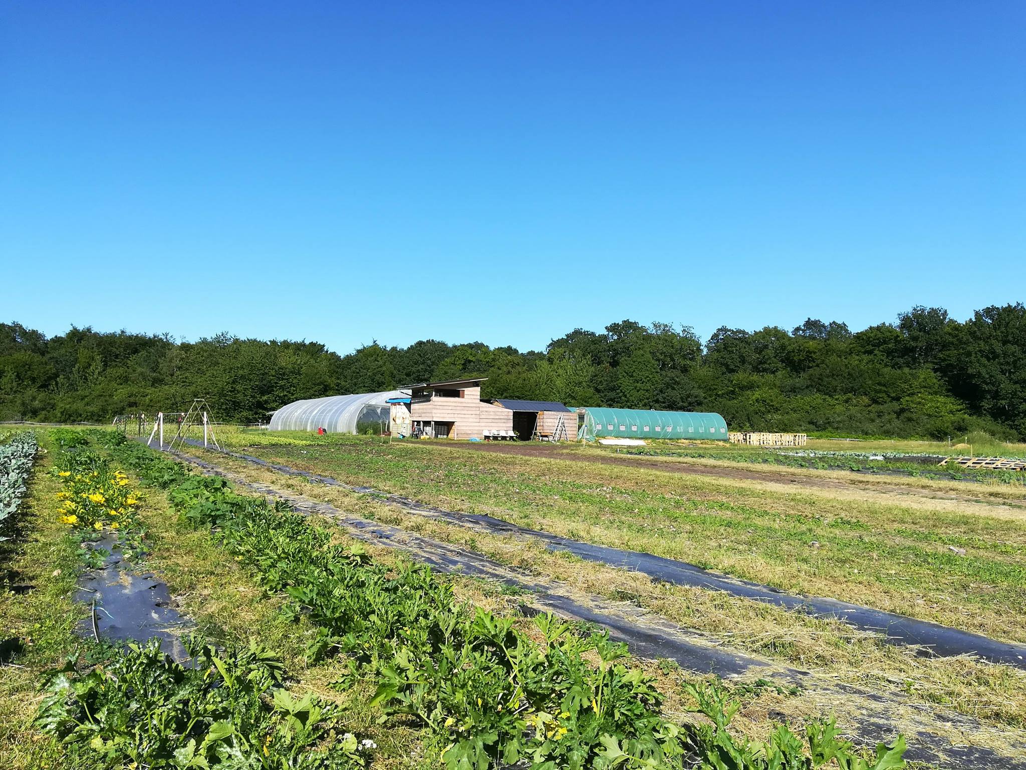 Potager du Bon'Eure - bannière.jpg