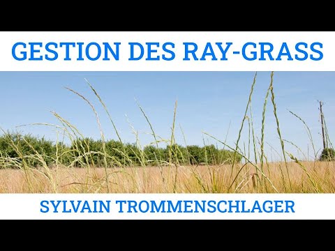Thumbnail youtube uQQRgIrQhOM.jpg