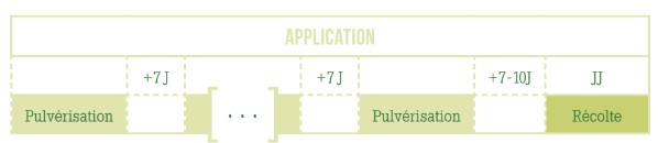 Neem Application.jpg