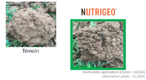 Nutrigeo AmelioreStructureSol.png