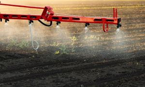 Herbicide Application RampeBuse.jpg