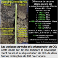Vignette pour la version du 24 août 2021 à 14:04