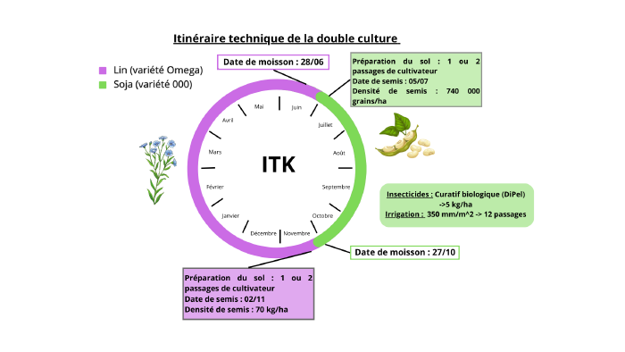 Choclazeur ITK.png