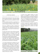 page suivante →