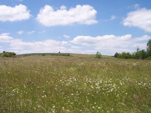 Image prairie.jpg
