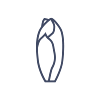 Endive.png