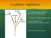 page suivante →