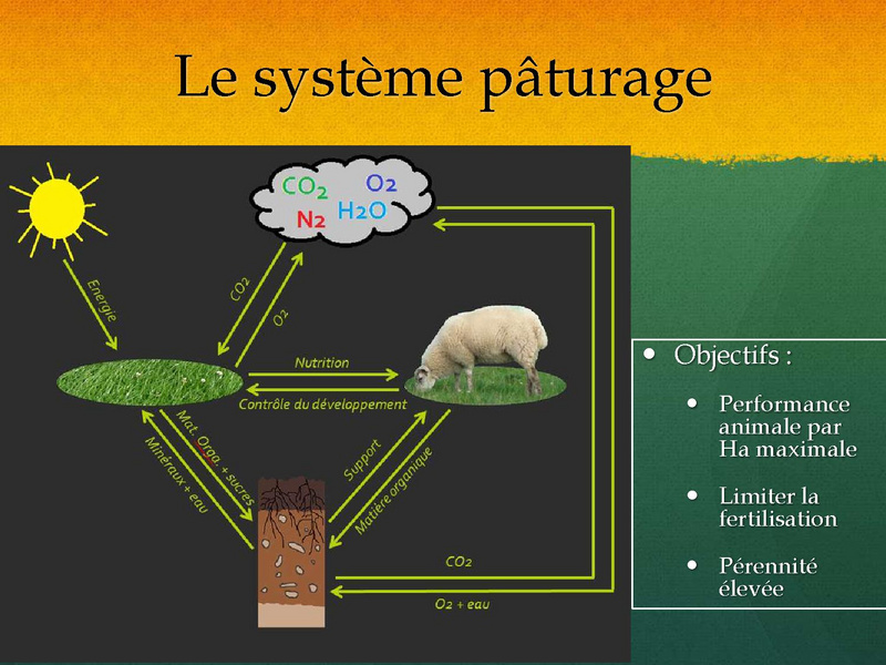Fichier:Pâturage Tournant Dynamique - Mathieu Bessière - CapAgroEco 2017.pdf