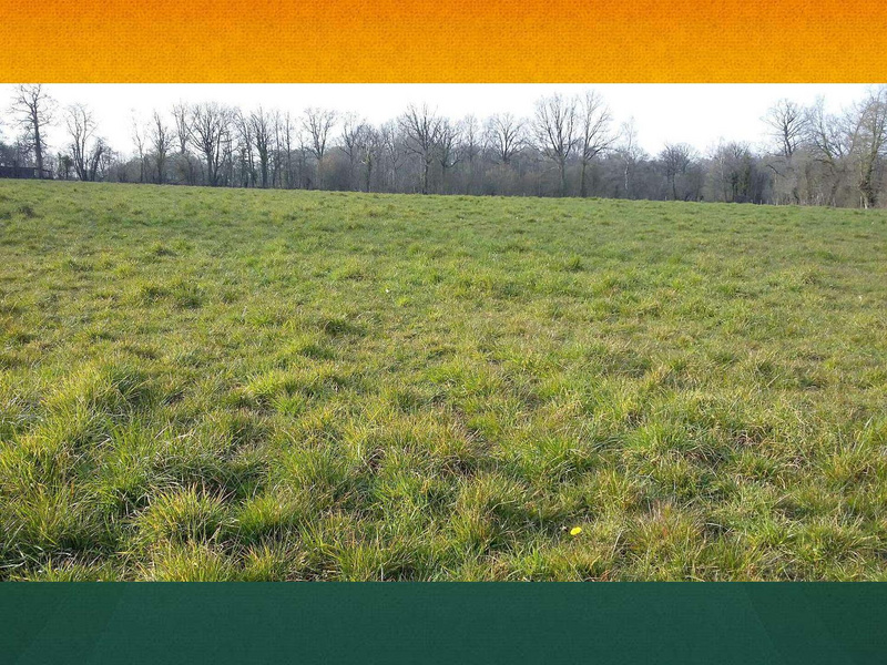 Fichier:Pâturage Tournant Dynamique - Mathieu Bessière - CapAgroEco 2017.pdf