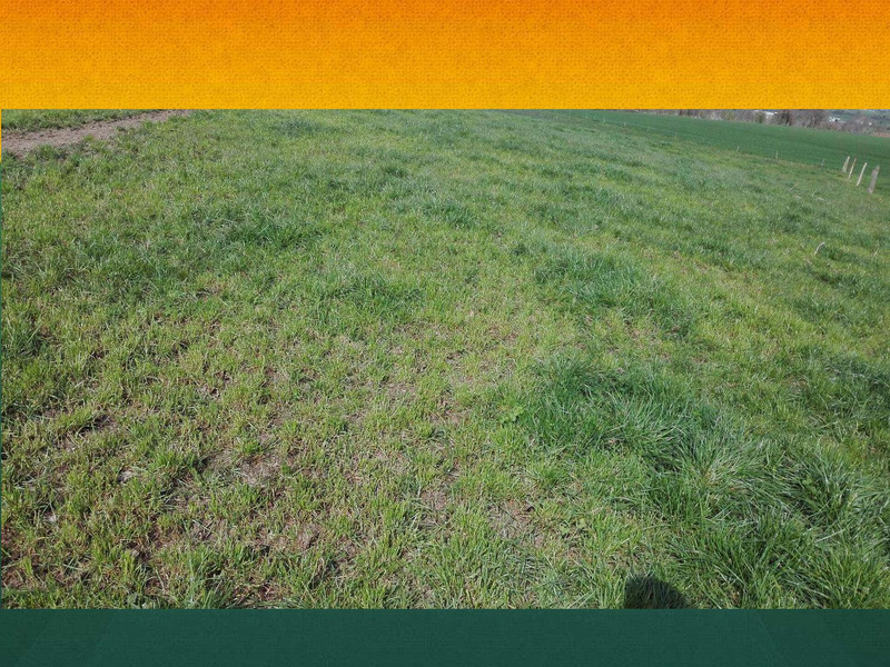 Fichier:Pâturage Tournant Dynamique - Mathieu Bessière - CapAgroEco 2017.pdf