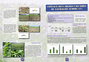 page suivante →