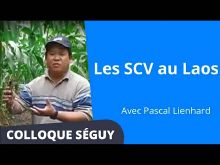 Thumbnail youtube UUY5Nw43fhU.jpg