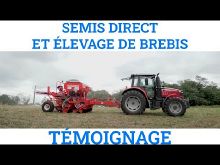 Thumbnail youtube P7VmlFP2caM.jpg