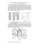 page suivante →