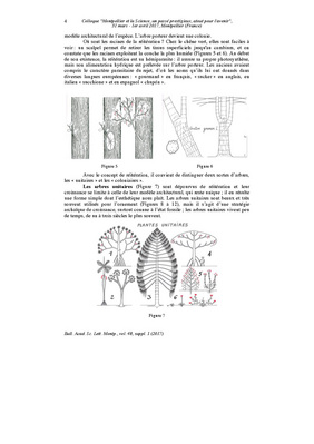 Fichier:Francis Hallé - Des données récentes sur les arbres.pdf