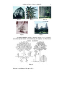 page suivante →