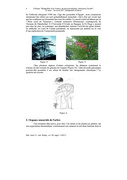 page suivante →