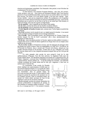 Fichier:Francis Hallé - Des données récentes sur les arbres.pdf