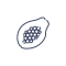 Fichier:Papaye.png