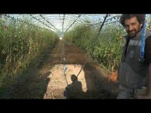 Thumbnail youtube NaT8whH12wM.jpg