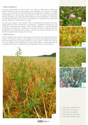 page suivante →