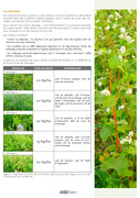 page suivante →