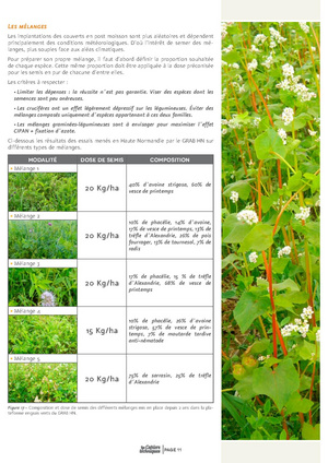 Fichier:2015-03 CT GC 2Couvert-vegetaux BD.pdf
