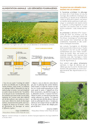 Fichier:2015-03 CT GC 2Couvert-vegetaux BD.pdf