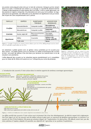 Fichier:2015-03 CT GC 2Couvert-vegetaux BD.pdf