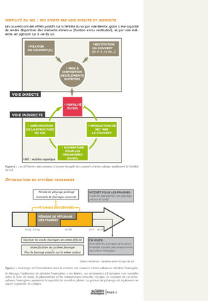 Fichier:2015-03 CT GC 2Couvert-vegetaux BD.pdf