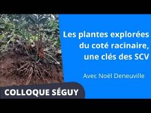 Thumbnail youtube 5yGf9b16Ql8.jpg