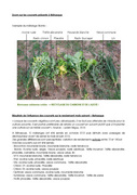 page suivante →